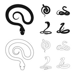 Isolated object of mammal and danger symbol. Collection of mammal and medicine stock vector illustration.