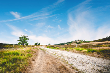 Dirt road with green grass by the roadside