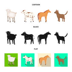 Vector design of breeding and kitchen  logo. Collection of breeding and organic  stock vector illustration.