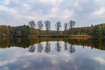 Im Naturschutzgebiet Gagelbestand bei Lohmar in NRW