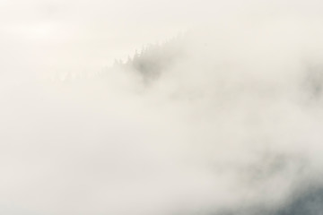 Fototapeta na wymiar Fog hanging on the mountains; near Juneau, Alaska