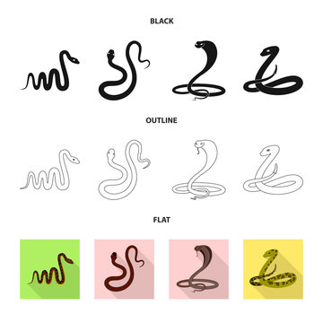 Vector design of mammal and danger logo. Collection of mammal and medicine stock symbol for web.