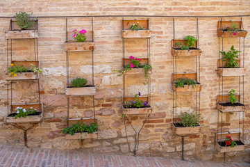 Garden on the wall. The original design of the outer wall of flower pots.
