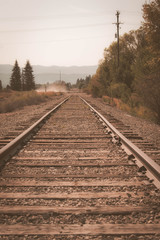 Obraz premium railway in the forest