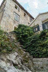 Fototapeta na wymiar Old stone house in the European city hidden in the green foliage.