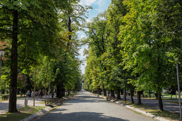 Fototapeta na wymiar Central Park, Image on August 21, 2018 in Cluj-Napoca.