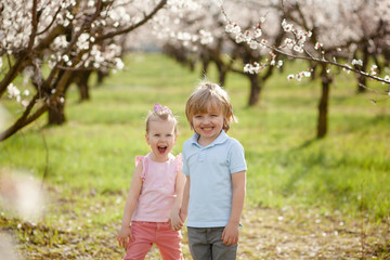 Fototapeta premium happy children on the street in the spring , flowering gardens