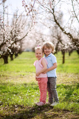 Fototapeta premium happy children on the street in the spring , flowering gardens 
