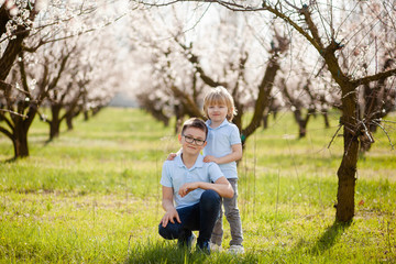 Fototapeta premium happy children on the street in the spring , flowering gardens