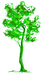 Deciduous tree sketch. Green contour isolated on white background. Simple art. Can be used for card banner template. Raster copy illustration.