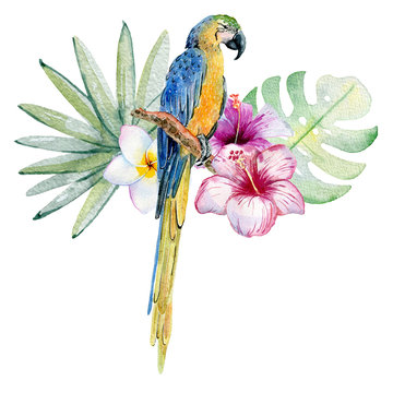 Tropical watercolor illustration