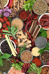 Spice and herb food seasoning collection with fresh and dried spices and herbs Top view.