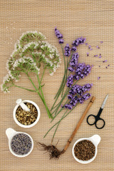 Valerian, chamomile and lavender herbs & essential oil bottle on bamboo background. Used in traditional herbal medicine to improve mood, reduce stress, help depression & insomnia. Top view.