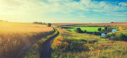 Sunny summer panoramic landscape with ground country road passing through the golden wheat  fields and green meadows