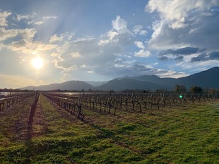 Fototapeta premium Paysage 