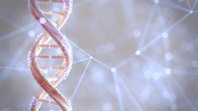 DNA the genetic material 360(frames) turntable Loop
