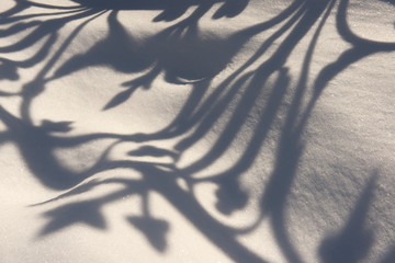 Fence Shadow on Snow