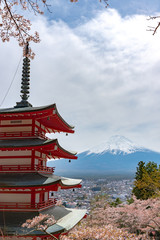 View of Mount Fuji with full bloom pink cherry tree flowers at Lake Kawaguchi Park in springtime sunny day and blue sky natural background. Fujikawaguchiko Cherry Blossoms Festival. Yamanashi, Japan