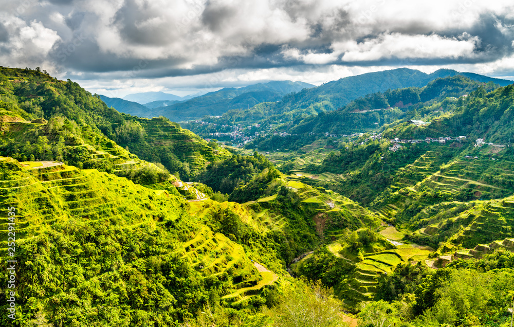 Wall mural banaue rice terraces - northern luzon, unesco world heritage in philippines.