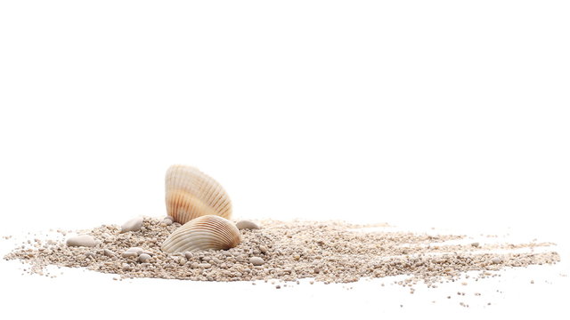 Sea shells in sand pile isolated on white background