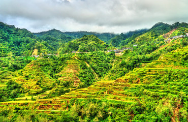 Banaue Rice Terraces - northern Luzon, UNESCO world heritage in Philippines.