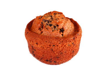 muffin in white background