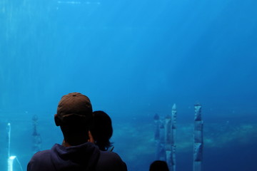 Aquarium in zoo in nuremberg