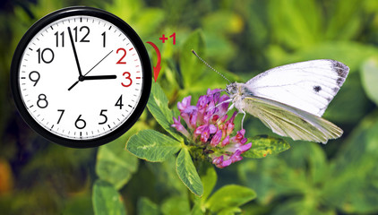 Daylight Saving Time. DST. Wall Clock going to winter time. Turn time forward.