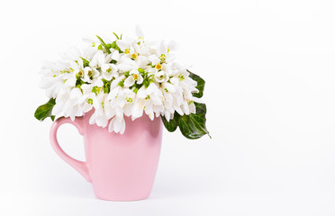 Bouquet of delicate spring flowers. Galanthus. Copy space