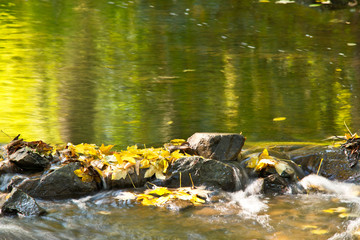 Detail of stones in the creek in the autumn season