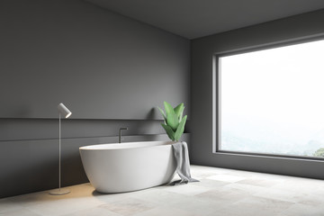 Obraz na płótnie Canvas Gray bathroom corner, white tub