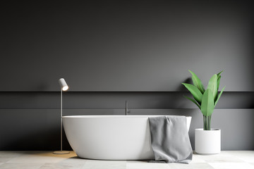 Fototapeta na wymiar Gray bathroom interior, white tub