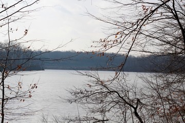 A view of the lake though the bare tree branches.