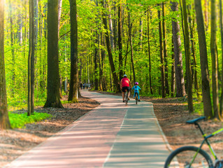 bicyclists in town park