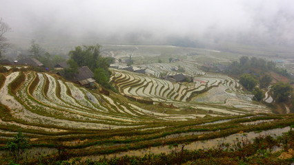 Sa Pa Reisterrassen in Vietnam