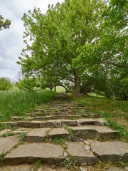 Old steps in the green park.