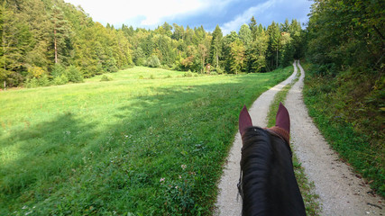 POV: Riding a brown haired horse down a road leading past a meadow in the woods