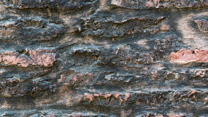 macro texture from nature brick wall with disseminations