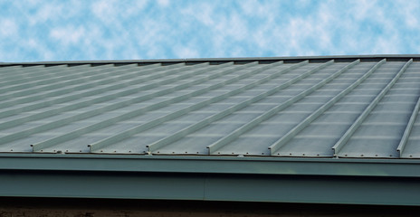 Blue metal roof