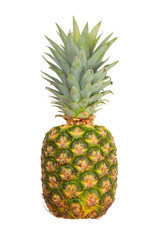 Fototapeta premium Pineapple