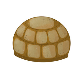 cartoon scene with happy turtle body part on white background - illustration for children