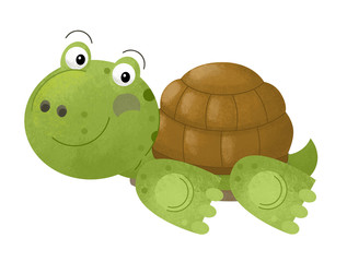 cartoon scene with happy turtle on white background - illustration for children