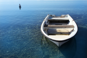 Fototapeta na wymiar Old boat in Adriatic Sea under water.