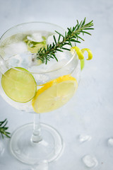 Alcohol drink (gin tonic cocktail) with lemon, lime, rosemary and ice on light background, copy space. Iced drink.