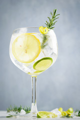 Alcohol drink, gin tonic cocktail, with lemon, lime, rosemary and ice on light background, copy...