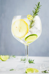 Alcohol drink (gin tonic cocktail) with lemon, lime, rosemary and ice on light background, copy space. Iced drink. - obrazy, fototapety, plakaty