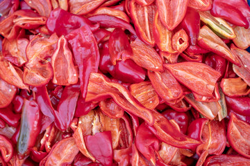  fresh vegetables for the healty food