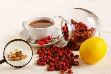 Cup of tea with lemon and rosehip under a magnifying glass