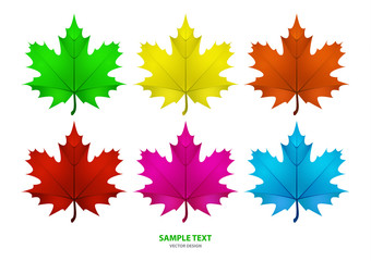 Set of isolated multi-colored maple leaves on a white background. Vector illustration