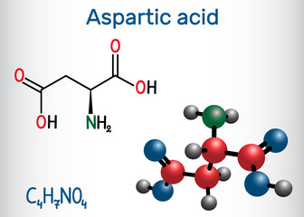 Aspartic acid (L- aspartic acid, Asp, D, aspartate) proteinogenic amino acid molecule.  Structural chemical formula and molecule model